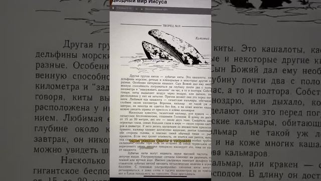 3 онлайн ресурса для изучения окружающего мира. #семейноеобучение #развитиедетей #окружающиймир