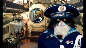 Александр Покровский "Кот" 1 часть 5.06.2024