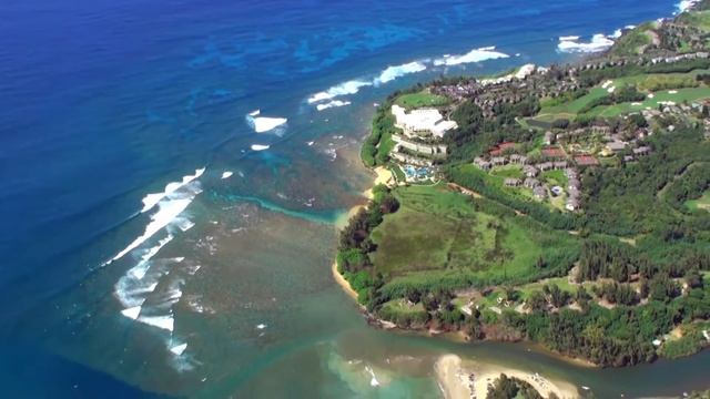 Reef Guardians Hawaii смотреть онлайн