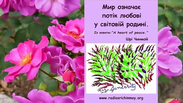 PEACE (МИР) смотреть онлайн