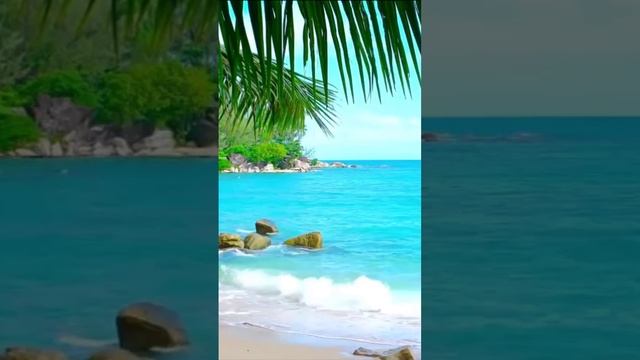 Голубая лагуна. Дмитрий Шлапак смотреть онлайн