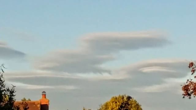 VERY STRANGE.?. NEVER HAD THESE HERE BEFORE?