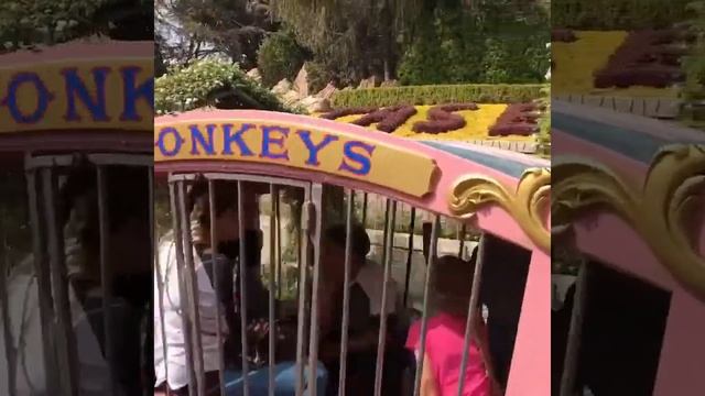 Gwen Stefani and Blake Shelton at Disneyland смотреть онлайн