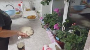 КАПУЧИНАТОР в деле. ЗАВАРНОЙ ДРОЖЖЕВОЙ ПИРОГ с капустой.