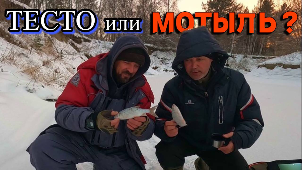 НА ЧТО КЛЮЕТ ЛУЧШЕ ? ТЕСТО ПРОТИВ МОТЫЛЯ !!! Плотва. Малоречье 3 декабря 2024г. смотреть онлайн