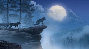 Wolves Howling at the Moon.Футаж вой волков на луну