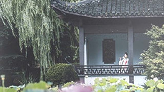 Spring Night смотреть онлайн