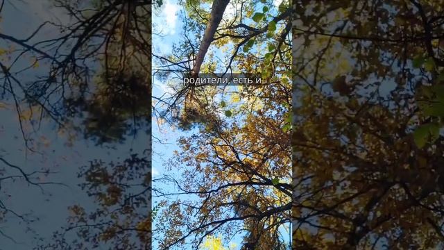 #АлександрХакимов #ЧайтаньяЧандраЧаранПрабху #счастье #обман #отношения #успех #reels смотреть онлайн