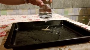 "Как работает поверхностное натяжение воды?"