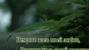 Ф.Киркоров-Немного жаль-караоке(для низкого голоса)