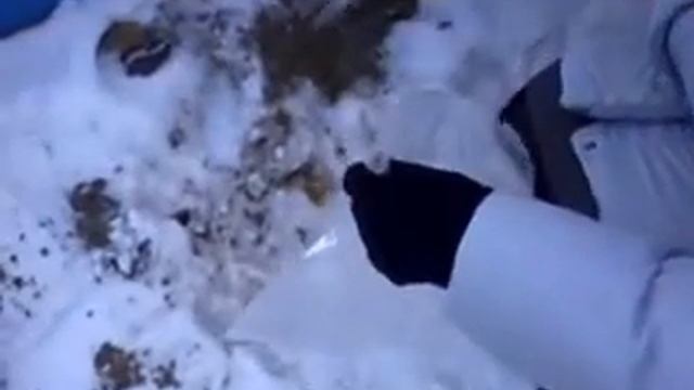 опредиление кислотности.3 смотреть онлайн