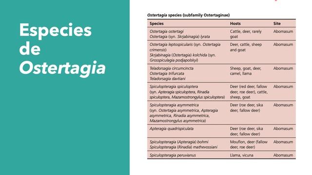 21. Nematodos Parte 6 смотреть онлайн