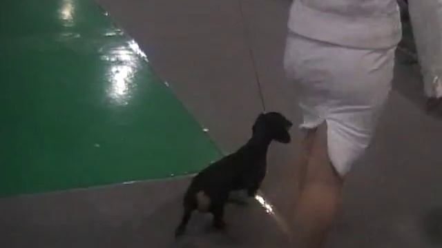 открытый класс смотреть онлайн