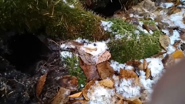 МЕТАЛЛА КОП НА УЖД. ДОШЁЛ ДО КОНЦА. ДАЛЬШЕ ТОЛЬКО БОЛОТО. смотреть онлайн
