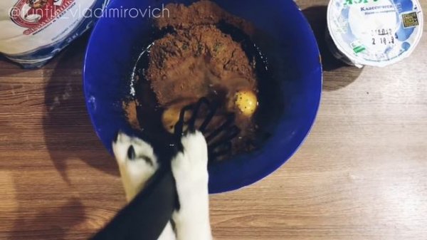 Самый смешной повар (best funny cook)