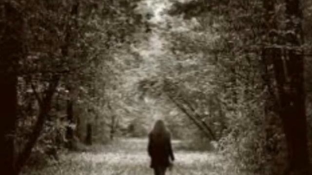 b h t смотреть онлайн