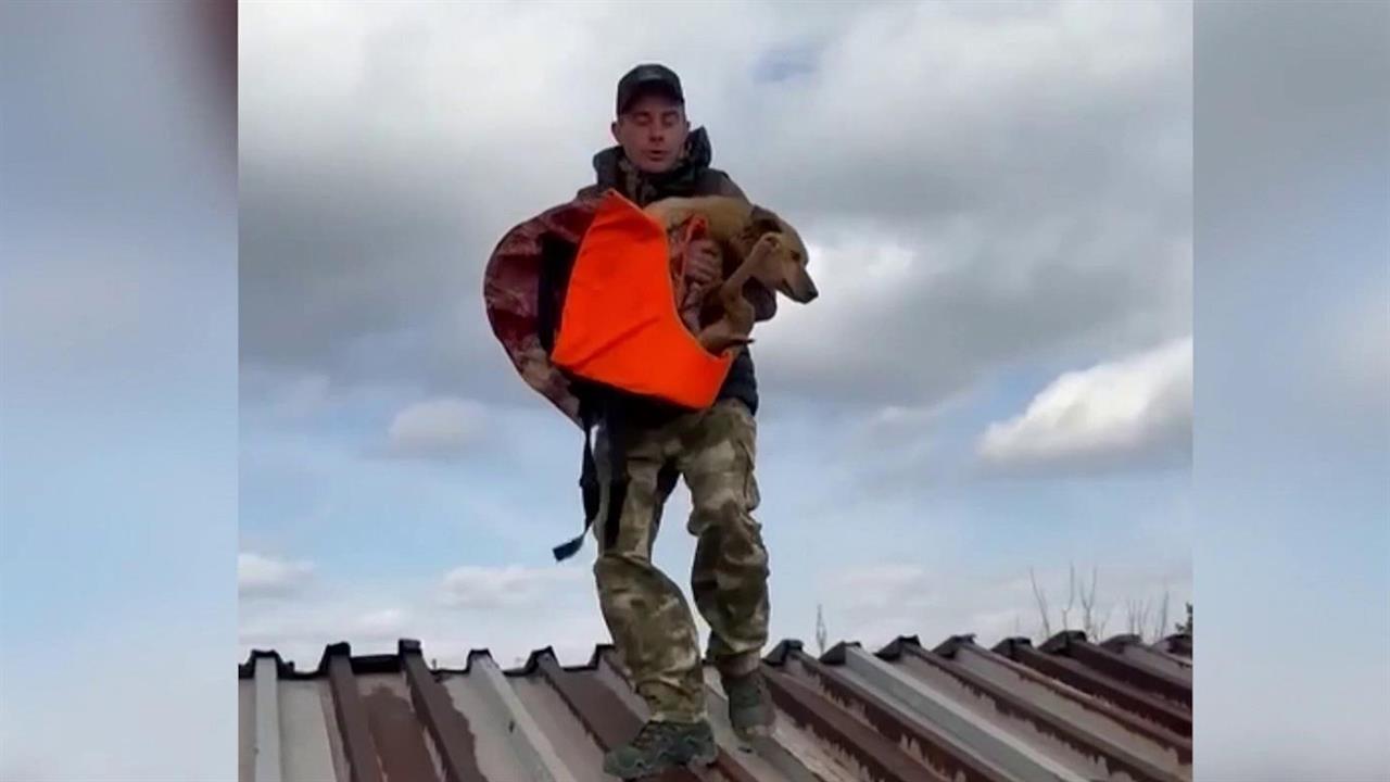 В России отмечается День волонтера смотреть онлайн