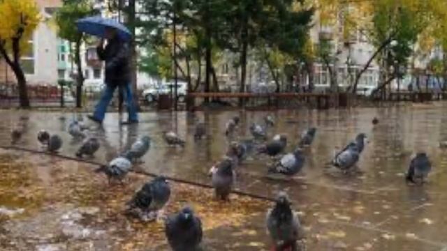 По осени смотреть онлайн