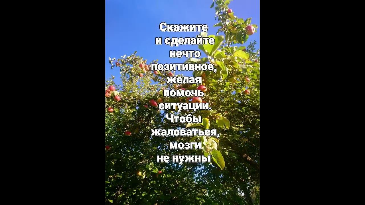 Скажите и сделайте нечто позитивное, делая помочь ситуации. Чтобы жаловаться, мозги не нужны.