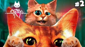 НАШЕЛ ДРУГА РОБОТА! СИМУЛЯТОР КОТА Stray Весёлый Кот