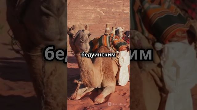 🌟 Дубай: Новый взгляд на отпуск! 🌟