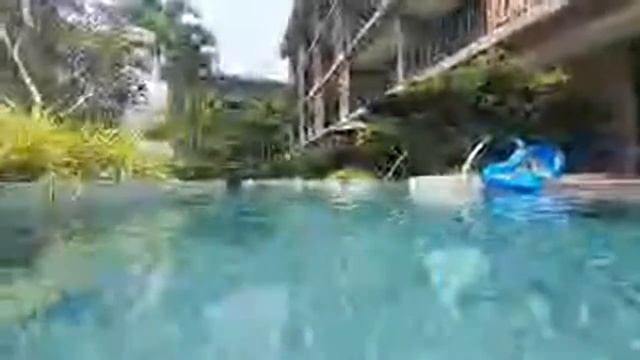 Khao lak- la flora Pool day- Amazing Live experience смотреть онлайн