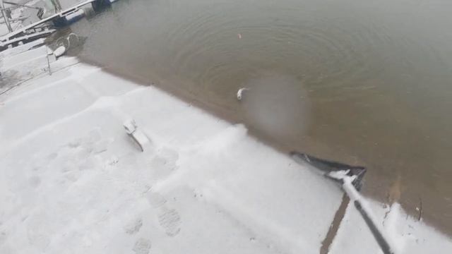 ДОННЫЙ МОНТАЖ РУЛИТ смотреть онлайн