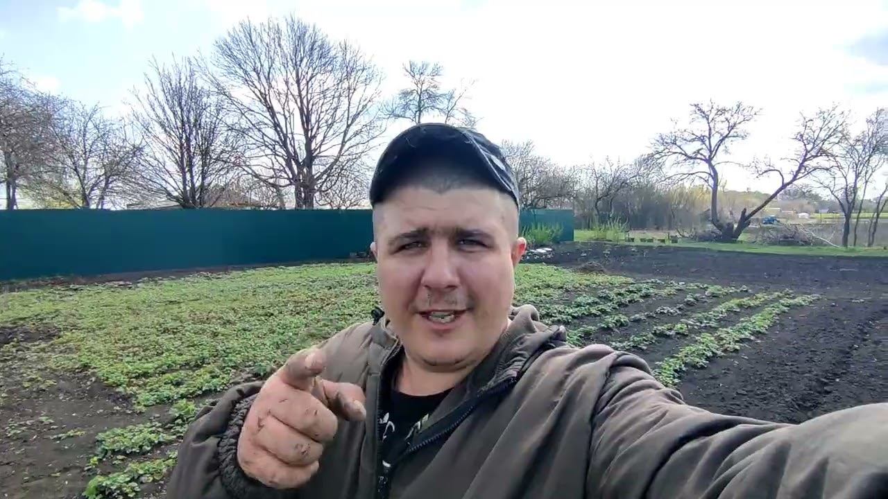 Посев горчицы под мотоблок Ока. Огородный сезон 2022 смотреть онлайн