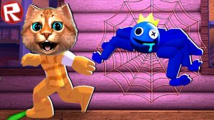 СИНИЙ ПАУК из РАДУЖНЫХ ДРУЗЕЙ ОХОТИТСЯ ЗА МНОЙ в РОБЛОКС  ROBLOX Spider Весёлый Кот