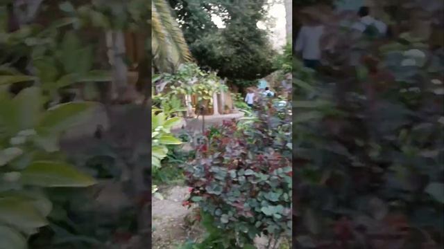 Retreat and Recollection Trip to Abogosh, Israel смотреть онлайн