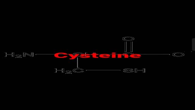 cysteine#neet#biology#class11#neet смотреть онлайн