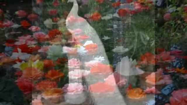 Sreegananatha raagam malahari classical music смотреть онлайн