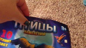 Птицы Хамелеоны из Красное&Белое распаковка! Алиса открывает сюрприз птицы хамелеоны из КБ