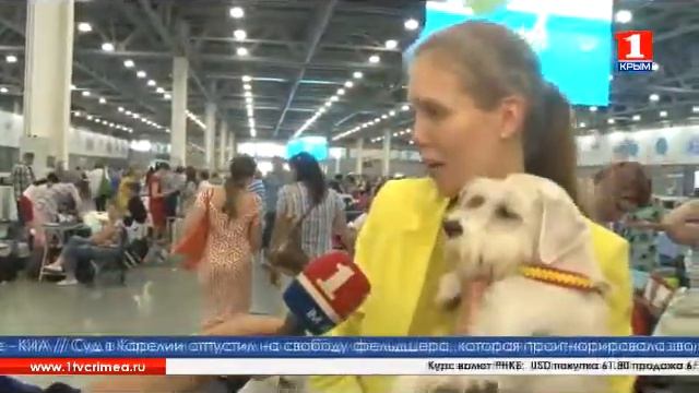 Всемирная выставка собак (World Dog Show) 2016 | Время Новостей 27.06.16