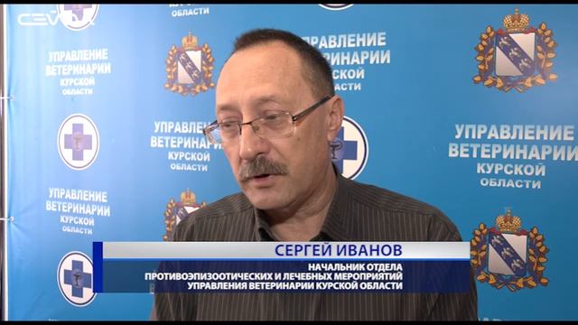 На контроле курских ветеринаров заболевания домашних, диких и сельхозживотных смотреть онлайн