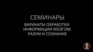 Варианты обработки информации мозгом