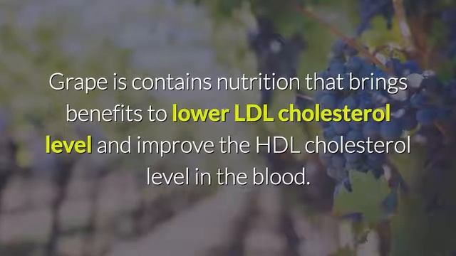 5 Drinks to Help Lower Cholesterol смотреть онлайн
