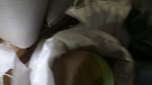 1 Общий перечень трав (2)