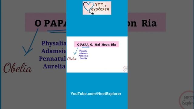 Phylum Cnidaria Examples Trick | Coelenterata mnemonics | NCERT NEET смотреть онлайн
