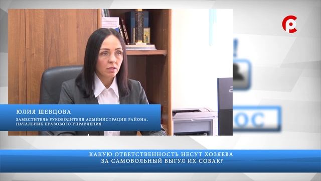 Частный вопрос 08.08.2019 смотреть онлайн