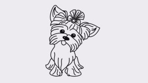 Раскраска Собака Рисуем Раскраски Видео для детей // Coloring book Dog Draw Coloring pages