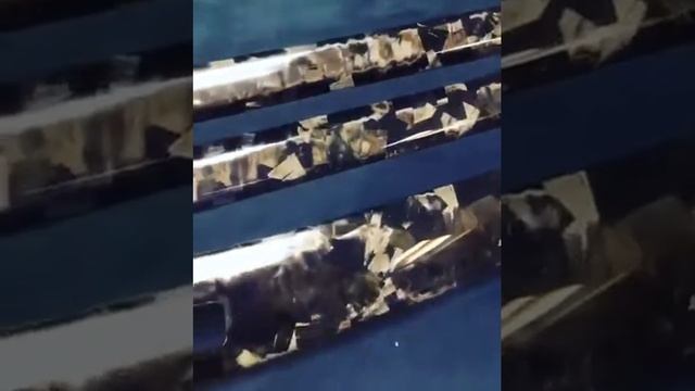 Salon98. Кованый карбон смотреть онлайн