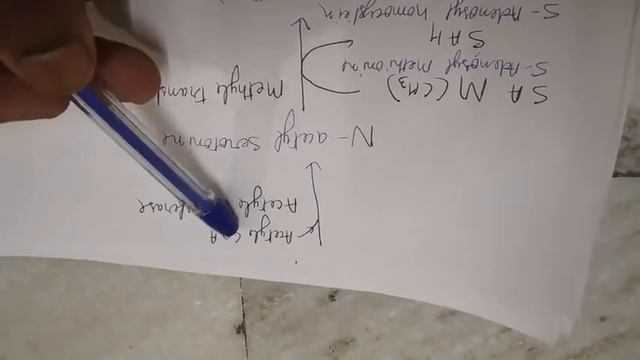Tryptophan metabolism, synthesis of 5-HT, melatonin and their biological significance смотреть онлайн