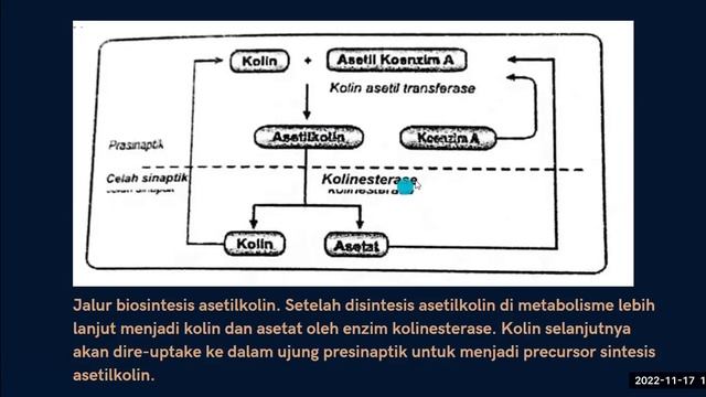 KANAL ION SEBAGAI TARGET AKSI OBAT смотреть онлайн