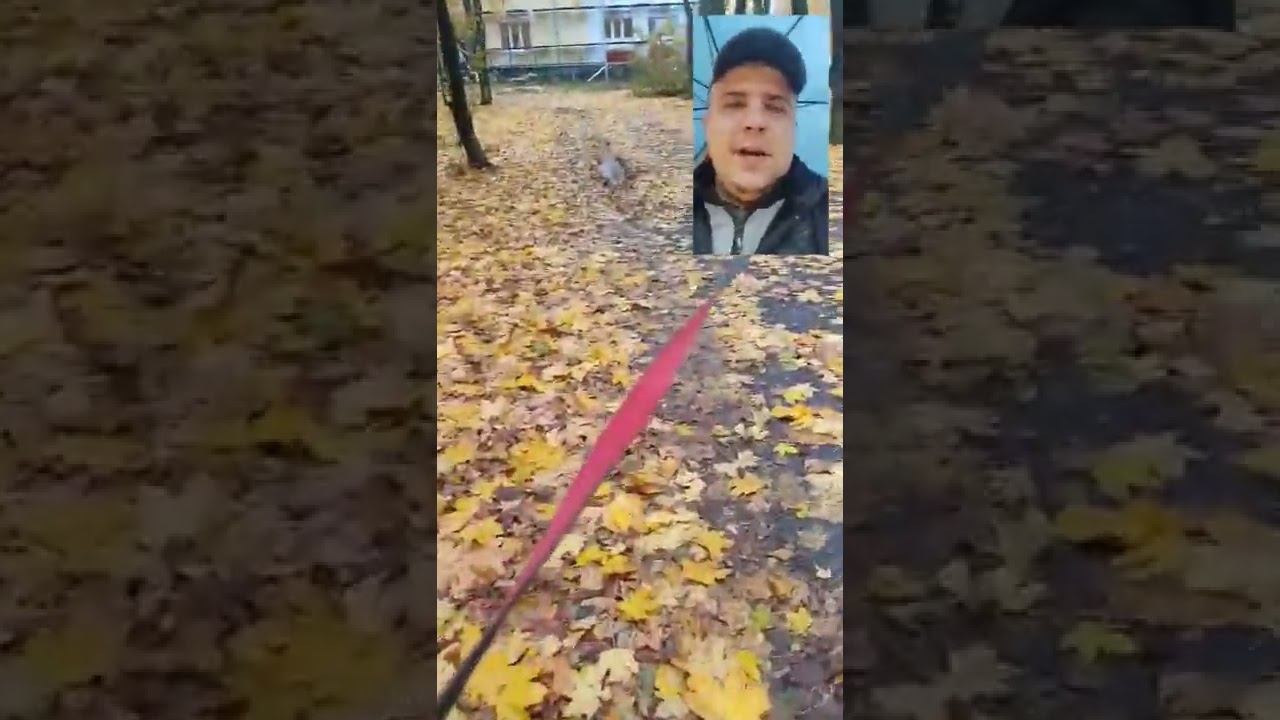 кина не будет... смотреть онлайн