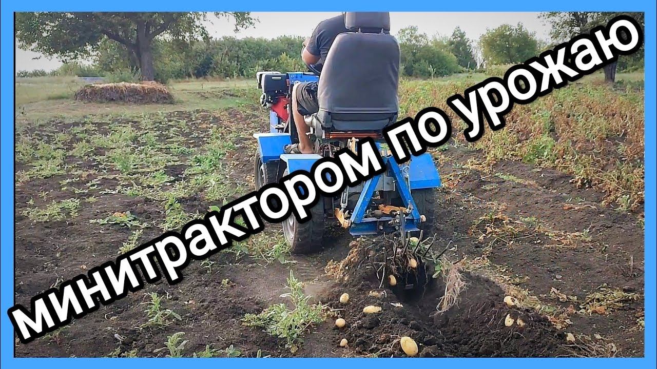 МИНИТРАКТОР с КОПАЛКОЙ в огороде смотреть онлайн
