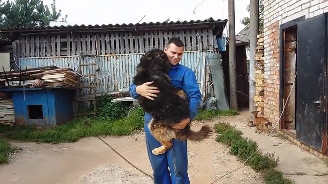 Собачья радость /// удачная покупка.