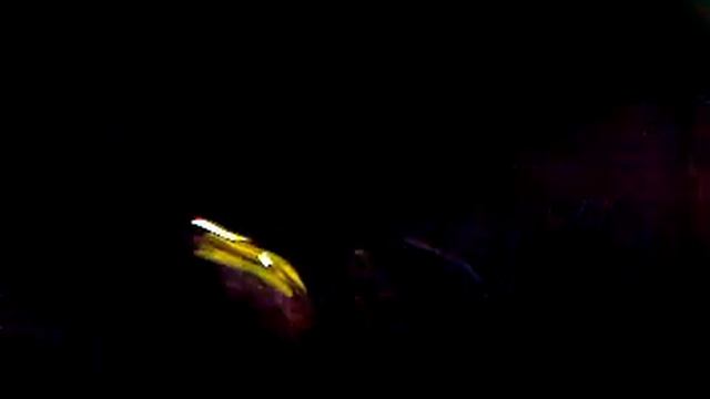 Joseph Capriati 01-06-09 Frau Marleen-Torre del lago puccini смотреть онлайн
