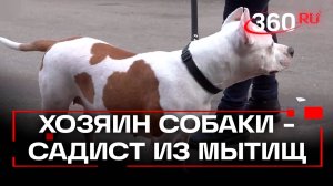 Два часа избивал собаку кнутом - соседи отбили животное у хозяина-садиста из Мытищ