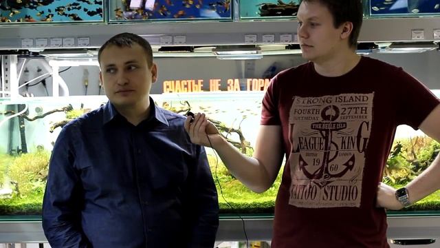 Аквариумный туризм №14 (Один из Пермских зоомагазинов Часть 2) смотреть онлайн